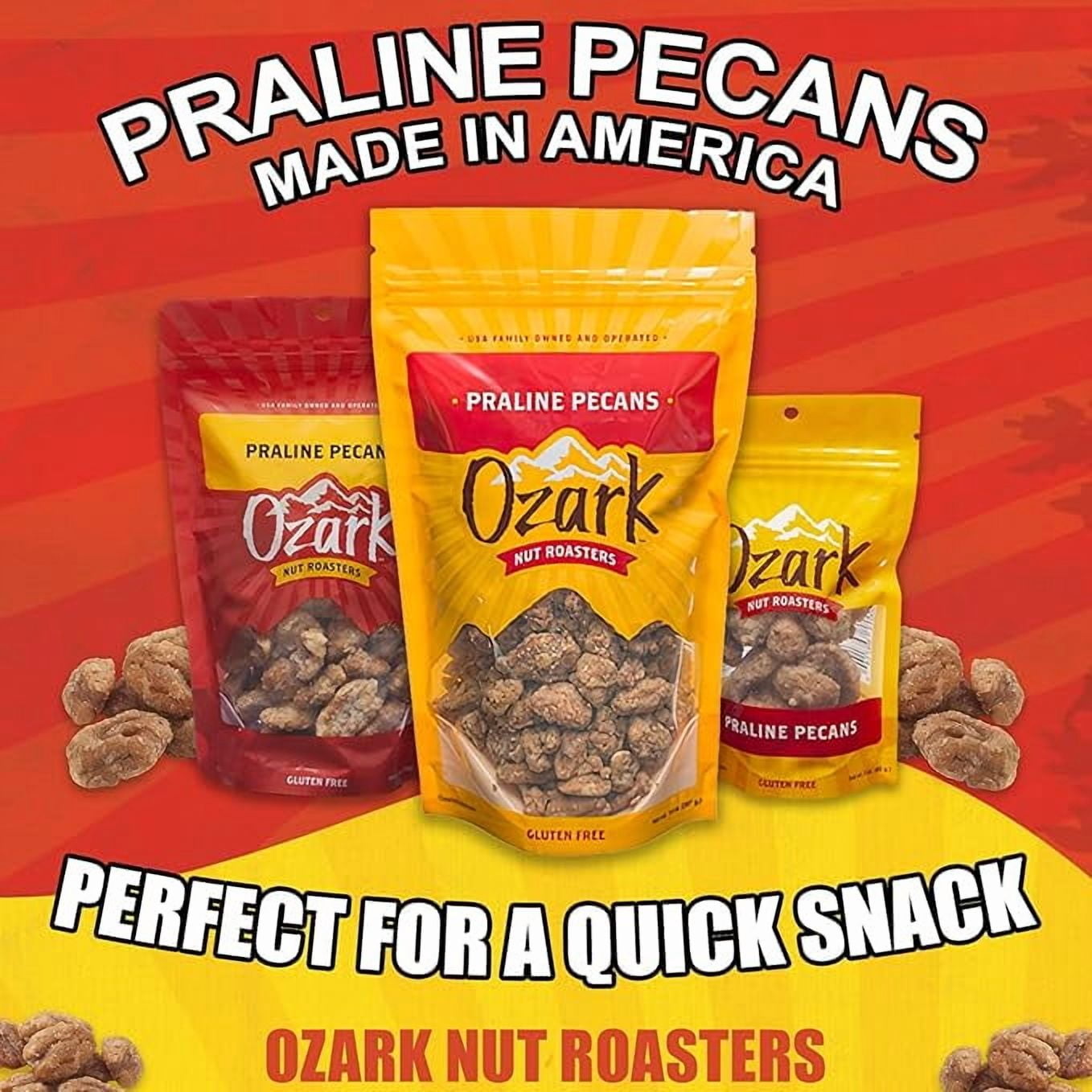 OZARK NUT ROASTERS, Praline Pecans, Sweet & Creamy French-Inspired Gourmet Snacks, World-Class Gourmet Candied Nuts, Resealable Pack (14 oz)