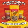thumbnail image 4 of OZARK NUT ROASTERS, Praline Pecans, Sweet & Creamy French-Inspired Gourmet Snacks, World-Class Gourmet Candied Nuts, Resealable Pack (14 oz), 4 of 5