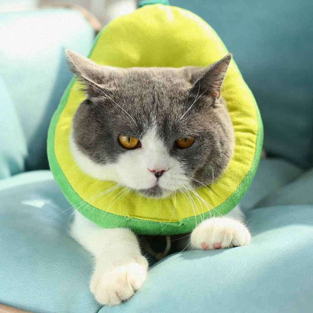 Surgery Recovery Elizabethan Collars for Kitten and Cats Cute Avocado Neck Cat Cones After Surgery Adjustable Cat E Collar HYLYUN Cat Recovery Collar 