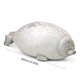 thumbnail image 5 of Almohada de animales marinos, almohada Blob, lindo juguete de peluche, cojín de animales de felpa de algodón, 5 of 5