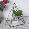 thumbnail image 4 of Apuakthei Macetero de cristal con forma geométrica única, soporte para plantas suculentas, contenedor, maceta, decoración del hogar, 4 of 6