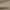 DESERT SAND, variant on Genuine Dickies Mens Flat Front Comfort Waist Flex Pant