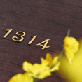 thumbnail image 3 of Fuente digital de latón para habitación de hotel, número de puerta de cobre puro, logotipo de corredor privado, tarjeta digital de cobre, 3 of 5