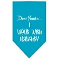 thumbnail image 4 of Christmas Pet and Dog Bandana Screen Printed, "Dear Santa... I Went With Naughty", 4 of 8