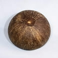 thumbnail image 4 of Splash Coconut Decorative Bowl Polished Key Rack Tray Coconut Shell Bowl Printed Painted Coconut Bowl, 4 of 5