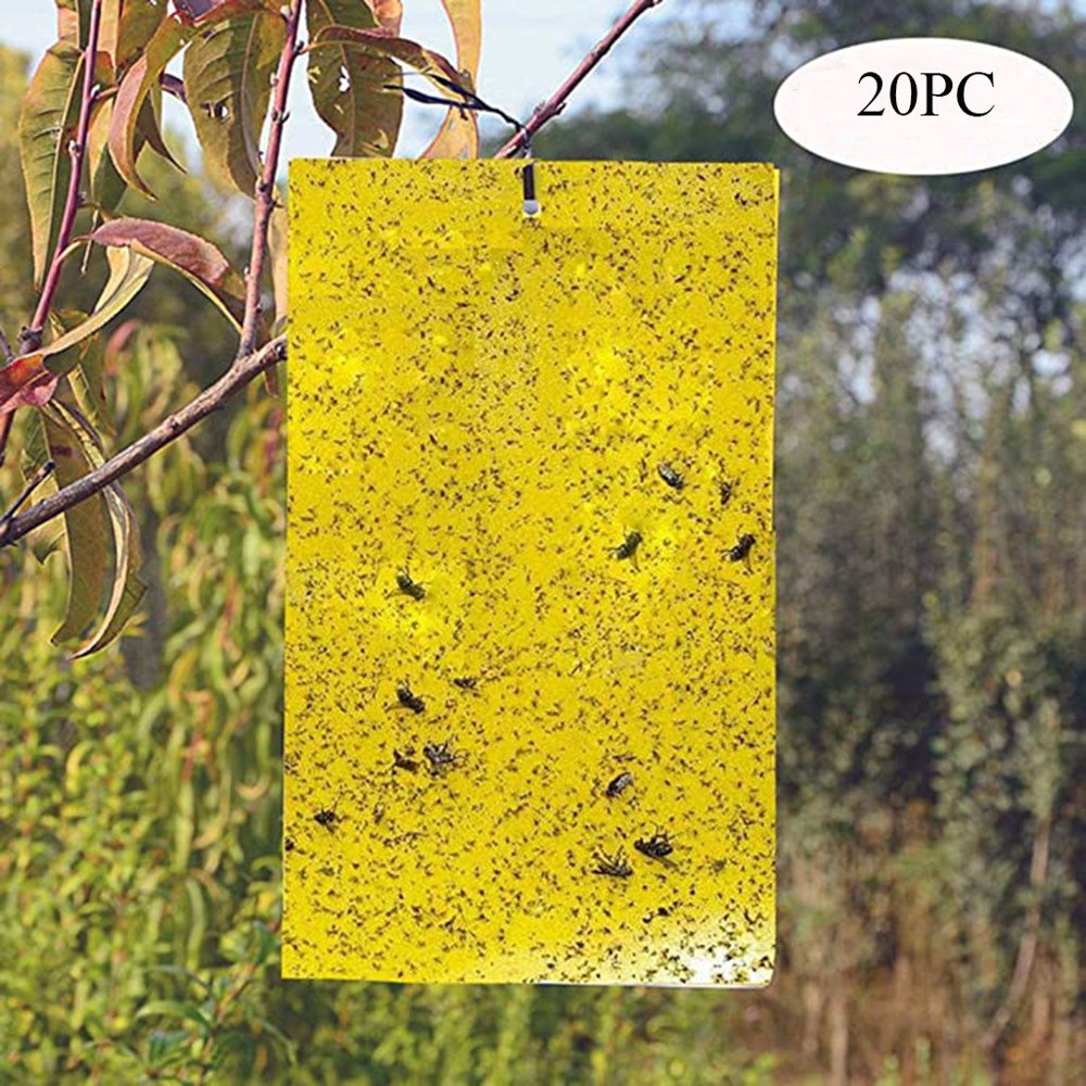 【JCXAGR】 Garden Tools Strong Flies Traps Bugs Sticky Board Catching