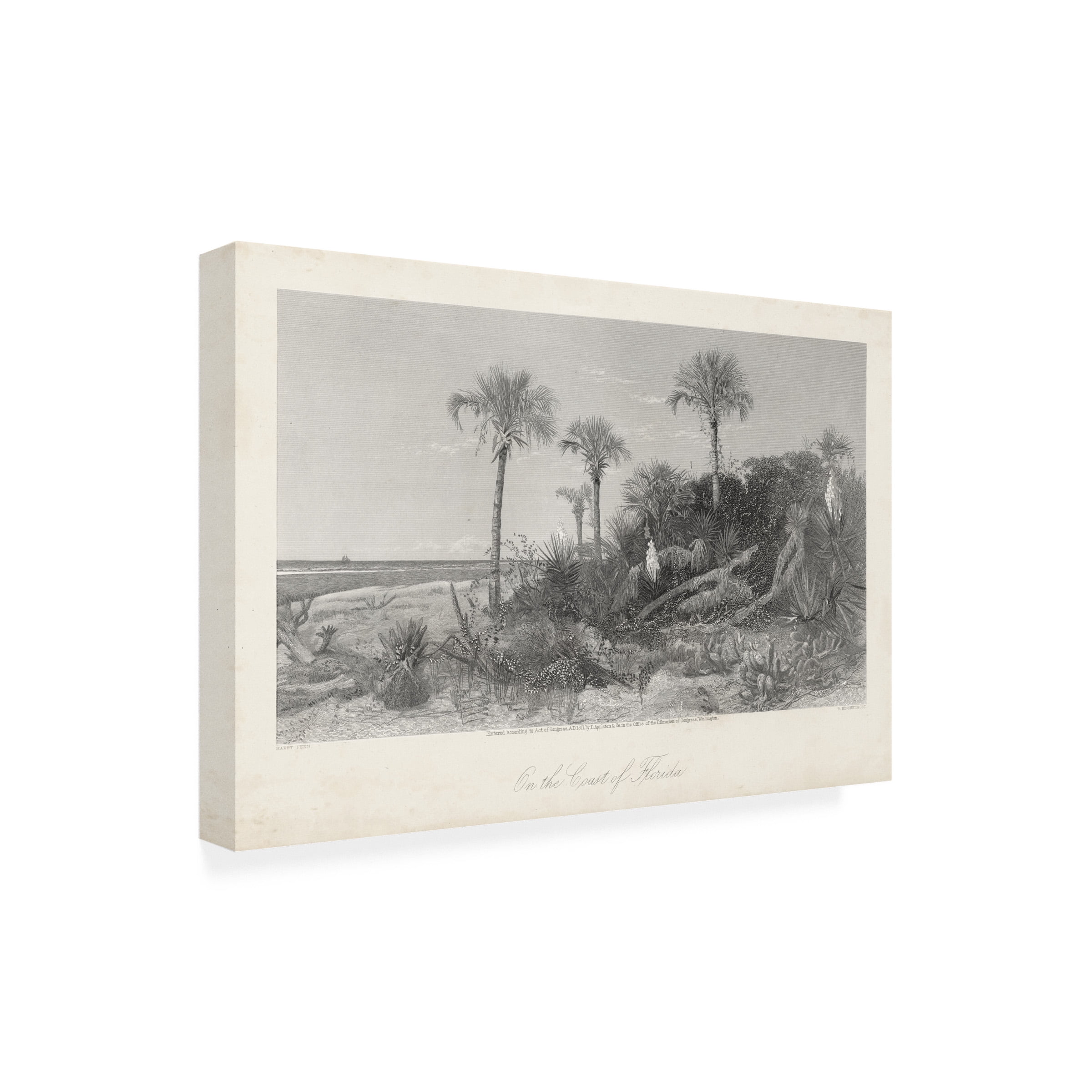 William Cullen Bryant 'On The Coast Of Florida' Canvas Art