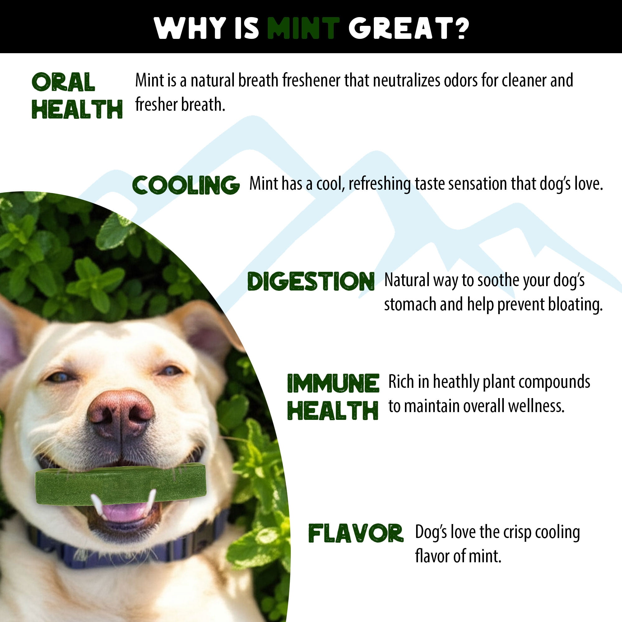 Texas Pet Company Global Collection Mint Flavor Yak Cheese Chew Treats for Dogs, Large Bag (4 Pack)