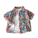 thumbnail image 1 of Corto Vestido de Verano Floral Camisa de Solapa de Manga Corta de los Niños con Patrones Florales Vestido Floral de Seda de Estilo de Playa Casual, 1 of 5