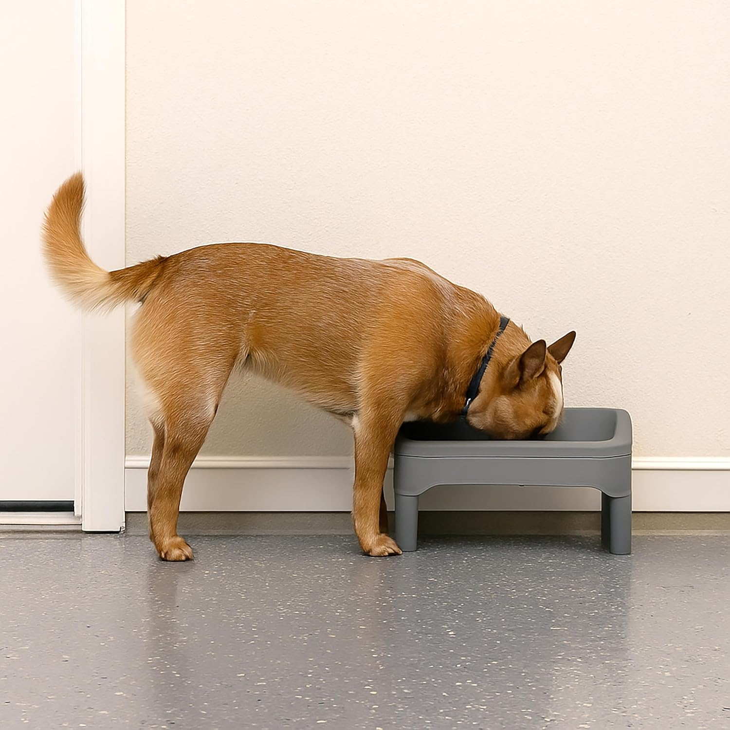 IRIS Adjustable Elevated Dog Bowls Removable Feeding Station, Gray