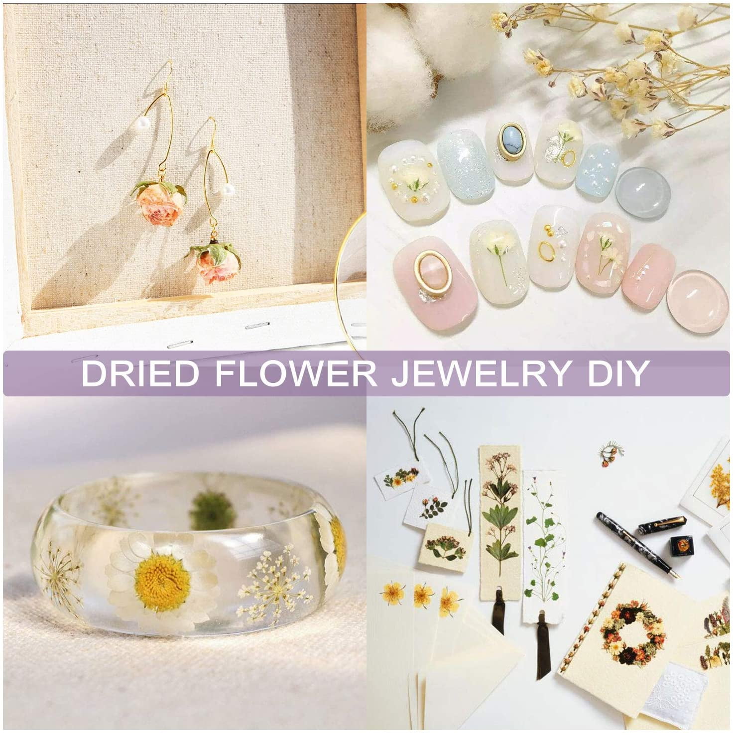 23 Style of 100% Natural Dried Flowers 