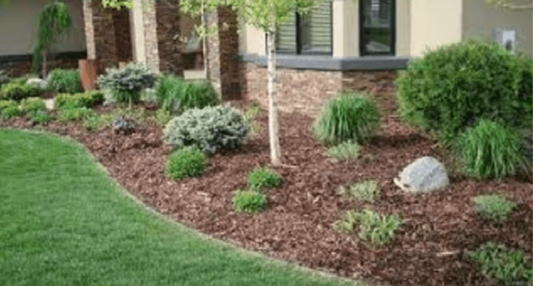 PermaGreen Pine Bark Brown Mulch Ground Cover, 2 Cu. ft., Retains Moisture & Suppresses Weeds
