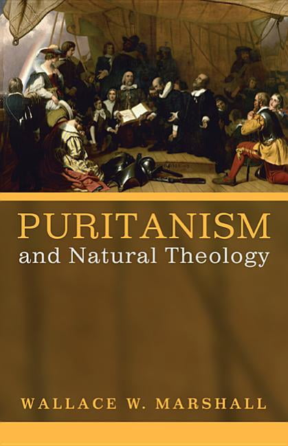 Puritanism And Natural Theology Paperback Walmart Walmart
