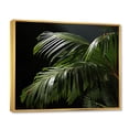 thumbnail image 2 of Designart "Palm Trees Euphony IV" Floral Floater Framed Canvas Wall Art, 2 of 7