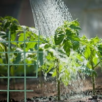 Worgeous  20 PCS Plant Support Frame Supports for Outdoor Plants Flower Pot Green