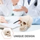 thumbnail image 3 of Modelo de cráneo médico Modelo de cráneo humano desmontable Modelo de cráneo humano realista para educación, 3 of 8