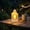 White WH, variant on AuroraX Night Light Battery Powered Lamp LED Portable Candle Lantern Decorative Customized Flickering Vintage Indoor Night Light Decor Black