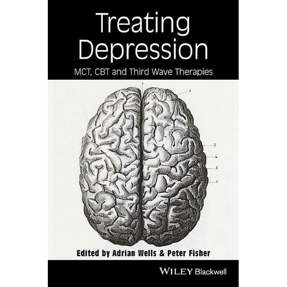 Treating Depression: McT, Cbt, and Third Wave Therapies, (Paperback)