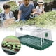thumbnail image 3 of Caja De Cultivo De Semillas De Plantas De 12 Orificios Con Interruptor De Base Y Cubierta Para Vivero, Iniciador De Plántulas, Bandeja Para Jardín, Maceta, Accesorios De Jardín 6 Uds. Minnieouse HA034809-00, 3 of 6