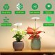 thumbnail image 2 of Luz de cultivo LED para plantas de interior de espectro completo, altura ajustable, bajo voltaje de seguridad de 5 V, idea para plantas grandes TUNC Sencillez, 2 of 5
