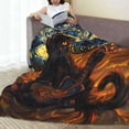 thumbnail image 6 of Pofeuu Starry Night Cat Guitarist A Print Ultra-Soft Micro Fleece Blanket,for Bed Or Sofa,All Season Throw Blankets Flannel Blanket-40"x30", 6 of 7