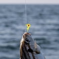thumbnail image 4 of Colorful Heads with Barbed Hooks – Saltwater/Freshwater Fishing Durable Core Snag Design, 4 of 5
