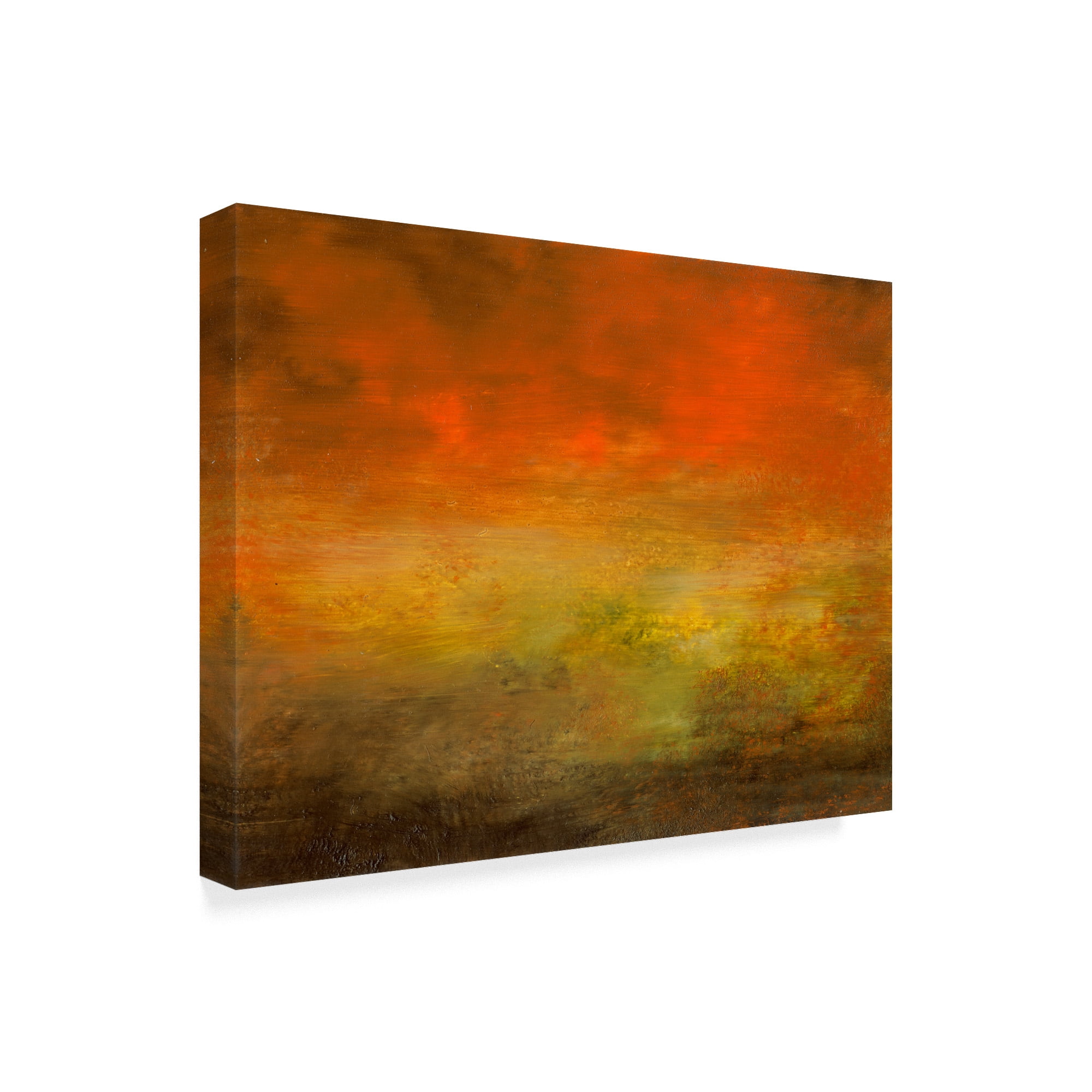 Trademark Fine Art 'Meadow Red Yellow VI' Canvas Art by Sharon Gordon