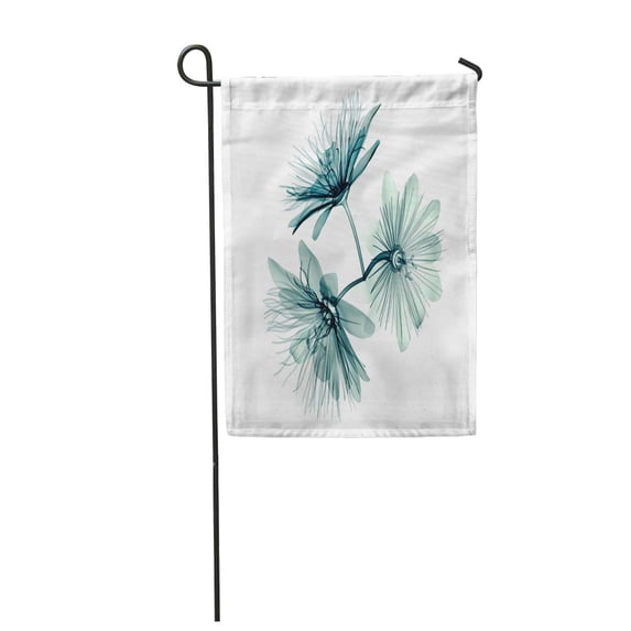 SIDONKU Blue Xray X Ray of Flower White The Passion 3D Garden Flag Decorative Flag House Banner 12x18 inch
