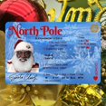 thumbnail image 3 of Moins de 5 Cartes de Vœux Décorations de Noël 2022 Traîneau du Père Noël Perdu Permis de Conduire, 3 of 3