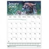 House of Doolittle HOD3732 Wall Calendar- Wildlife- 12-Mth- Jan-Dec- Wire Bound- 12in.x16-.50in.