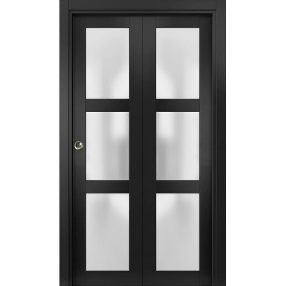 Sliding Closet Bi-fold Doors | Lucia 2552 Matte Black with Frosted Glass