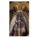 thumbnail image 1 of ABPHQTO Bulldog japonés Noren puerta cortina puerta cortina puerta cortina de entrada tamaño 85x150cm, 1 of 1
