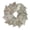 Natural, variant on Vickerman Natural Botanicals 17" White Washed Palm Spear Wreath.