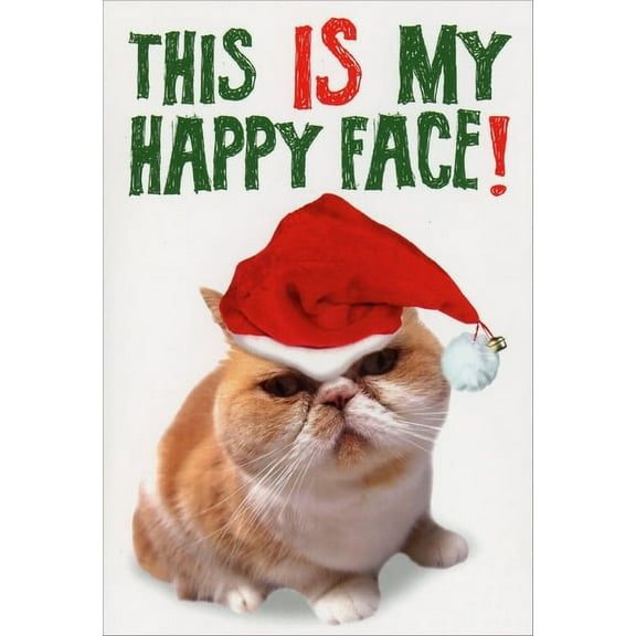 Nobleworks My Happy Face Funny / Humorous Cat Themed Christmas Card (1 card/1 envelope)