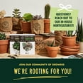 thumbnail image 7 of Cactus Succulent Seed Starter Kit - Indoor Garden Grow Kits, Seeds for Planting Mini Cactus Succulent Plants, Plant Markers, Soil, Pots, Wood Box, 7 of 7