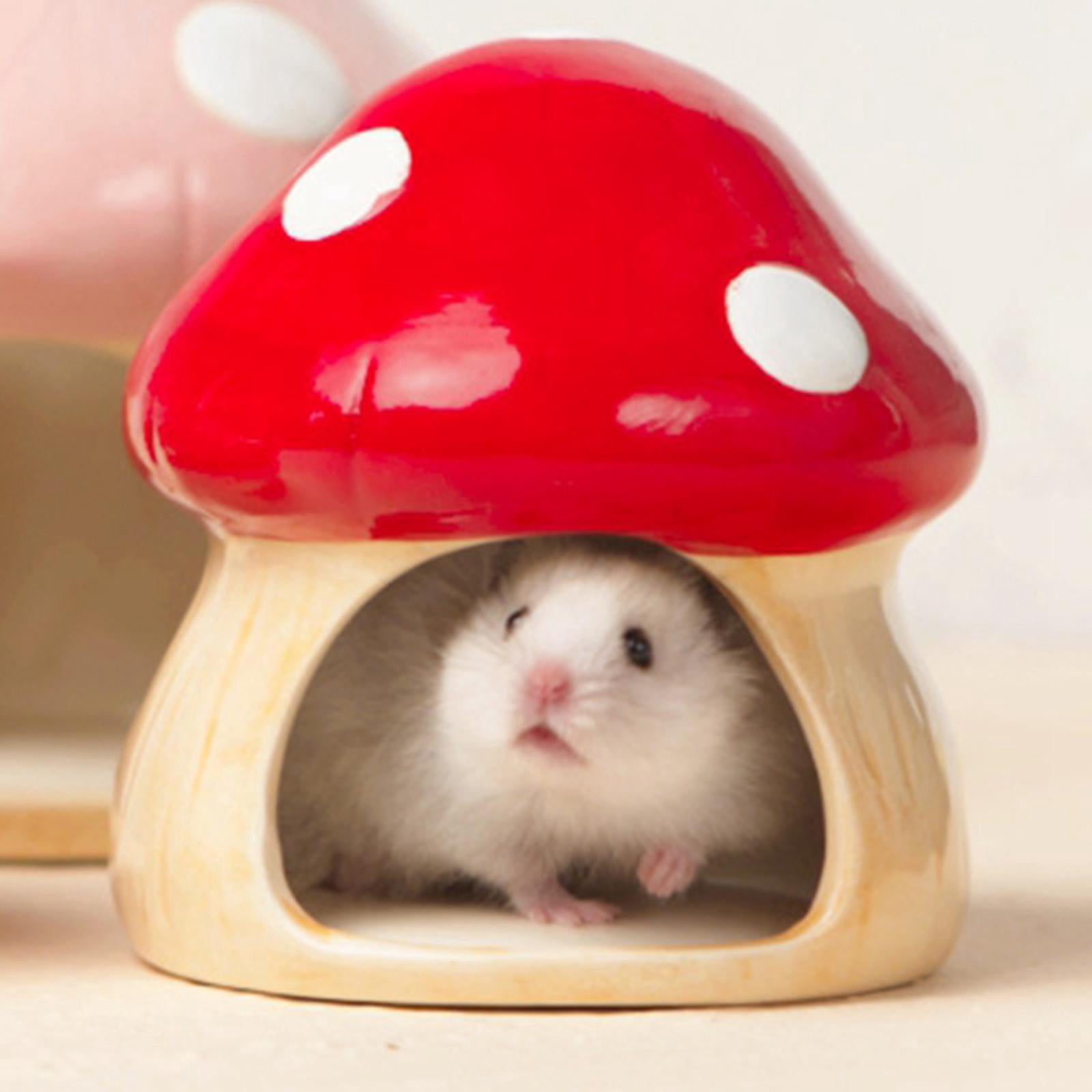 Ceramic Hamster House Hamster Hideout Cute Food Feeding Bowl Shaped for Ferret Dwarf Hamster Small Animals Hedgehog Hamster House L
