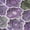 Plum, variant on Addison Rugs Chantille Indoor/Outdoor Transitional Lattice Aloe Machine Washable Rectangle Rug, 10' x 14'