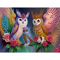thumbnail image 1 of Pintura de diamante 5D DIY Kit de taladro en forma especial parcial Búho Decoración del hogar (2) Hugtrwg Para estrenar, 1 of 9