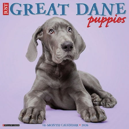 Willow Creek Press, Great Dane Puppies 2026 Wall Calendar, 12'' X 12'', Daily Calendar with Stapled Binding