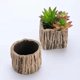 thumbnail image 3 of Corteza, Macetas de cemento Redondas Cuadradas, Potos suculentos, Jardines, Terrazas, Balcones, Salas de estar y Otras plantas en maceta, 3 of 4