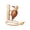 A, variant on Wooden Woodpecker Doorbell Hand Pull Mechanical Knock Bell Wall Mounted Hanging Door Chime with Cord for Entry Door