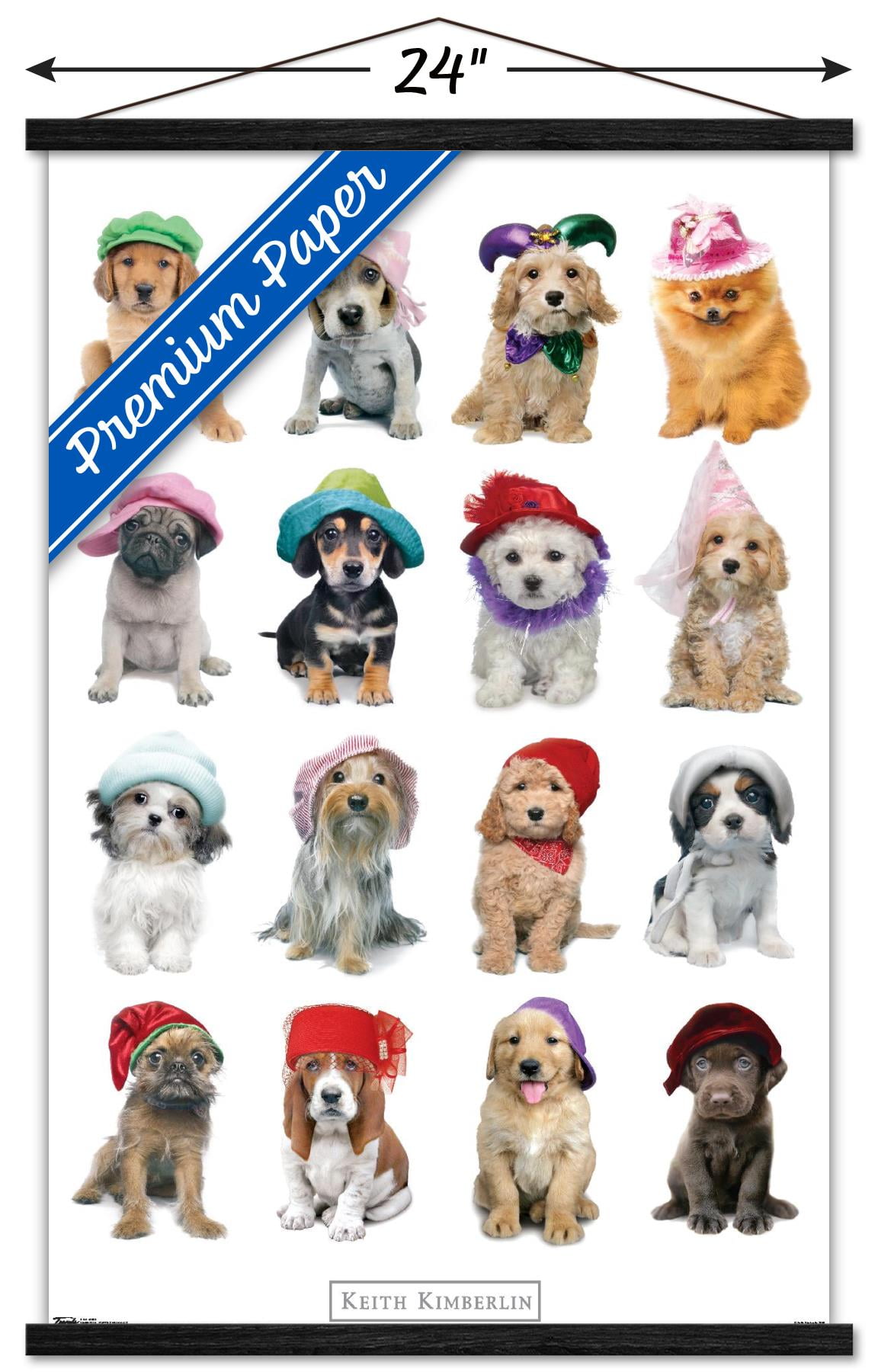 Keith Kimberlin - Puppies With Hats Wall Poster with Wooden Magnetic Frame, 22.375" x 34"