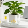 thumbnail image 3 of Self Watering Planter Square Flower Pot with Water Reservoir Wick Rope Modern Plant Pot for Indoor Desk Home Decor, 3 of 8