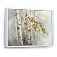 thumbnail image 2 of Designart "Soft Birch Wood Charm II" Tree Birch Floater Framed Wall Art Living Room, 2 of 5