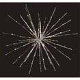 thumbnail image 1 of Holiday Bright Lights 274662 24 Po Radiant Blast&44; Multicolore, 1 of 1