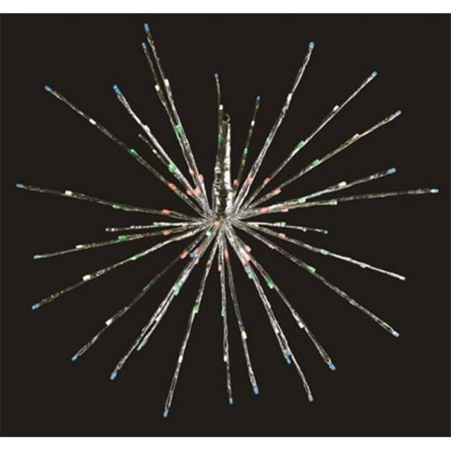 Holiday Bright Lights 274662 24 Po Radiant Blast&44; Multicolore