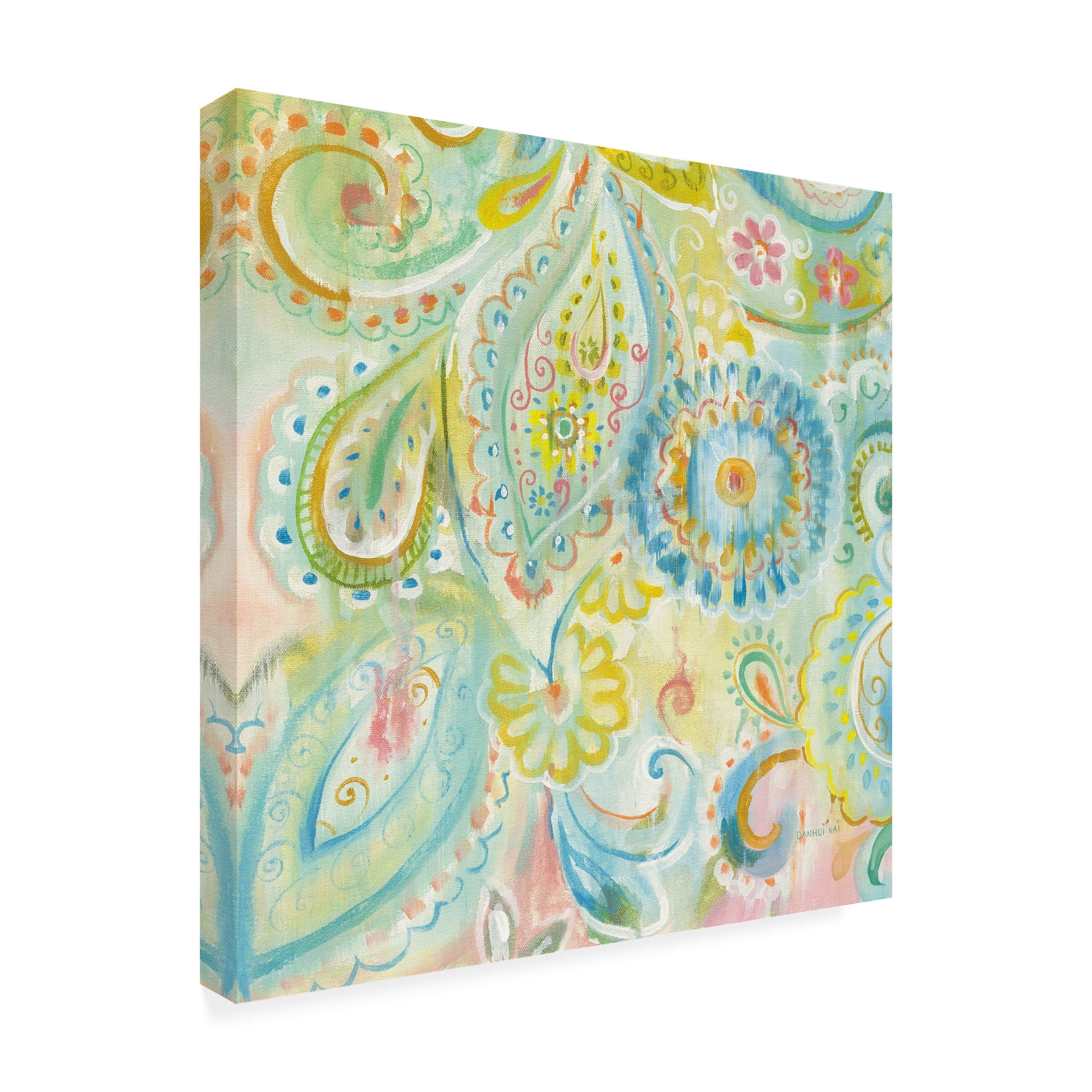 Trademark Fine Art 'Spring Dream Paisley XII' Canvas Art by Danhui Nai
