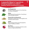 thumbnail image 3 of LifeSeasons Blood Nourish-R - Iron Deficiency Supplement - Supports Anemia, Fatigue, Paleness & Dizziness - No Constipation - Blood Building - Iron, Alfalfa, Raspberry & Vitamin B-12-60 Capsules, 3 of 9