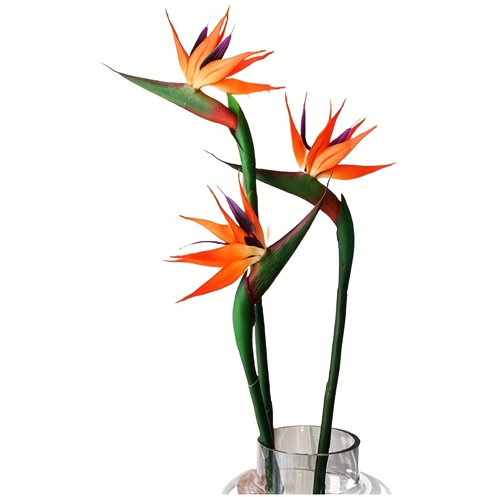 HAOSHICS 3Pcs Artificial Heaven Bird Flowers,Fake Bird of Paradise Strelitzia,Faux Plants for Home Office Wedding Table Centerpeice Decor