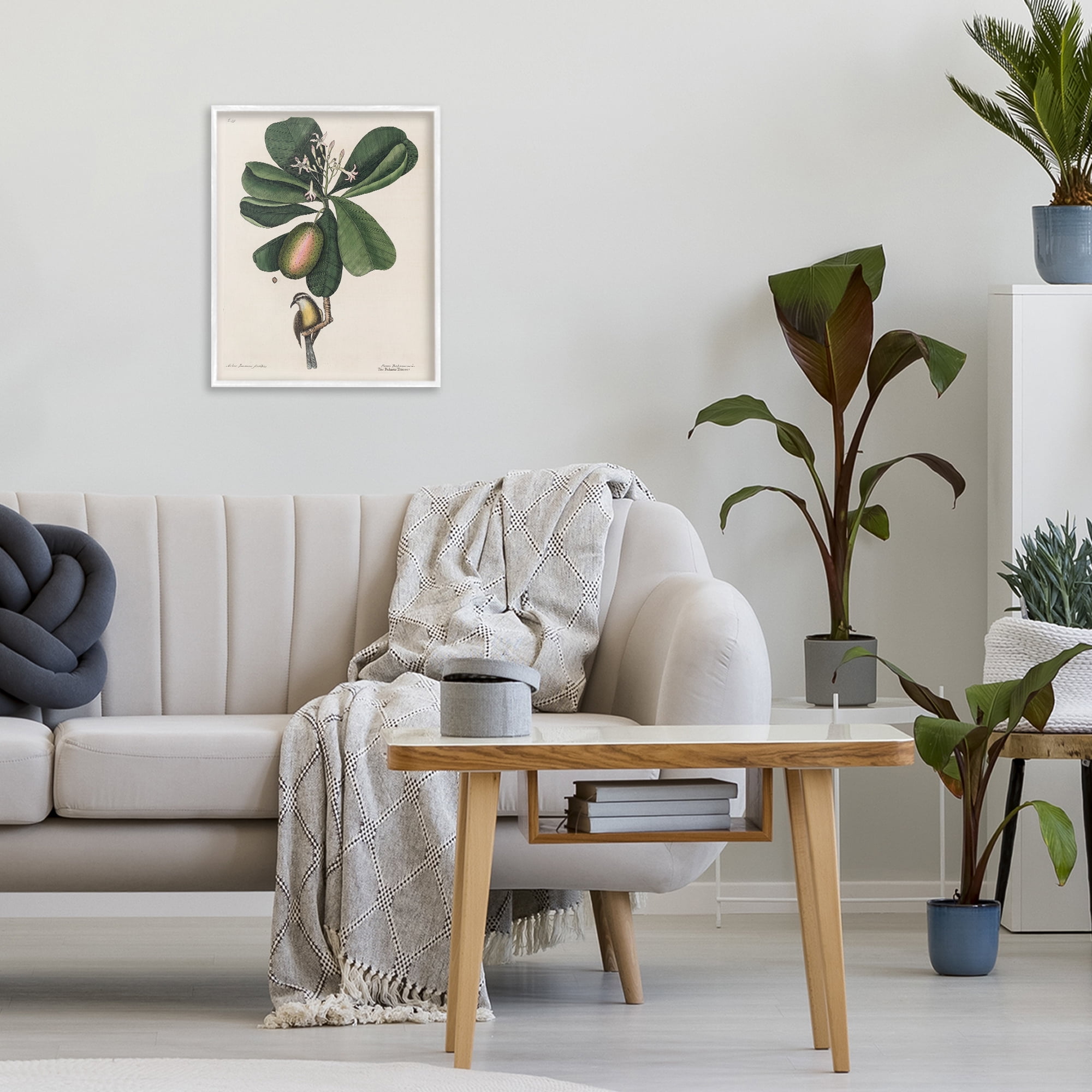 Stupell Industries Catesby Flora & Fauna White Framed Giclee Art, design by Print Collection